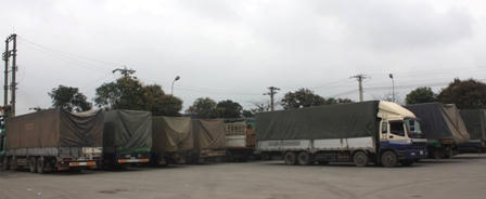 Bắt 11 xe biển số Lào chở gỗ “khủng” về Việt Nam