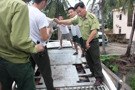 Tài xế, chủ xe “mất tích” sau khi “ăn vạ” không thành