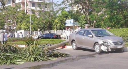 Xế hộp phi thẳng vào xe máy, đâm nát cây cau vua mới chịu dừng lại