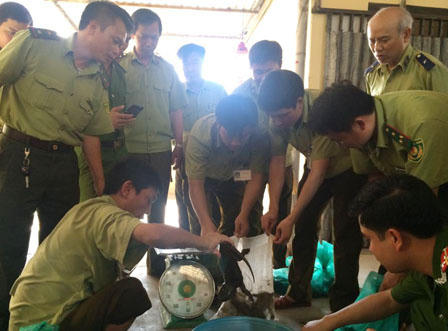 Bắt xe chở 14 thùng nội tạng cùng 32 cá thể không nguồn gốc