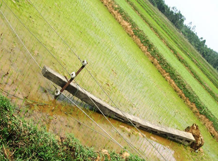 Lốc xoáy và động đất liên tiếp xảy ra ở Nghệ An