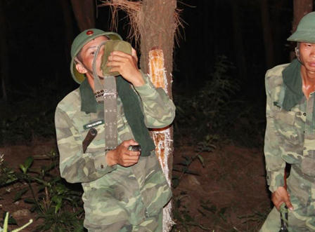 Hỏa hoạn thiêu 10 ha rừng thông, khiến một người phải cấp cứu