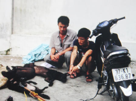 Chế súng điện từ ắc quy xe máy đi câu trộm chó