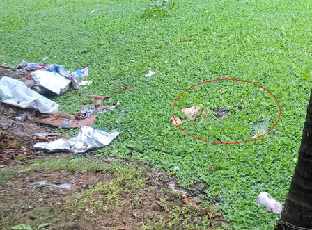 Bà cụ chết bất thường dưới hồ nước vào sáng sớm