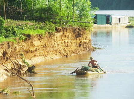 Đê sông Mã và đê sông Chu bị sạt lở nghiêm trọng