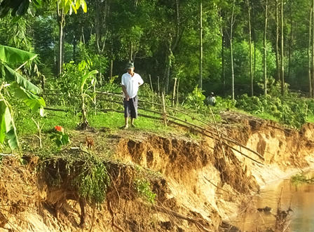 Đê sông Mã và đê sông Chu bị sạt lở nghiêm trọng