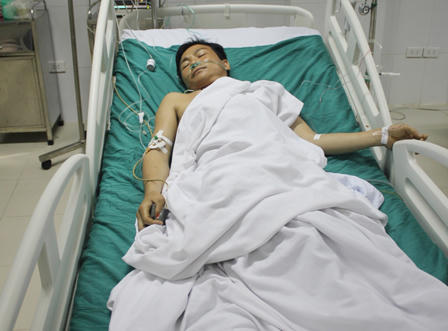 Dính “đạn lạc” khi đi bắt ong trong rừng?