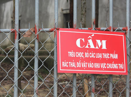 Cận cảnh khu sinh thái xảy ra vụ hổ cắn đứt tay khách