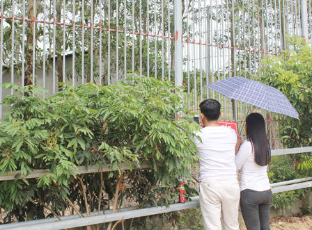 Cận cảnh khu sinh thái xảy ra vụ hổ cắn đứt tay khách