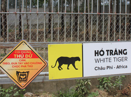 Cận cảnh khu sinh thái xảy ra vụ hổ cắn đứt tay khách