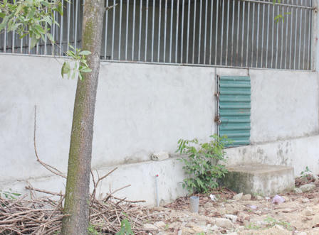 Cận cảnh khu sinh thái xảy ra vụ hổ cắn đứt tay khách