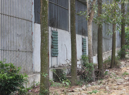 Nạn nhân bị hổ cắn cụt tay không phải nhân viên trang trại "đại gia" Mường Thanh