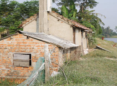 Nghệ An huỷ 10 tấn lợn thịt, công bố dịch heo tai xanh