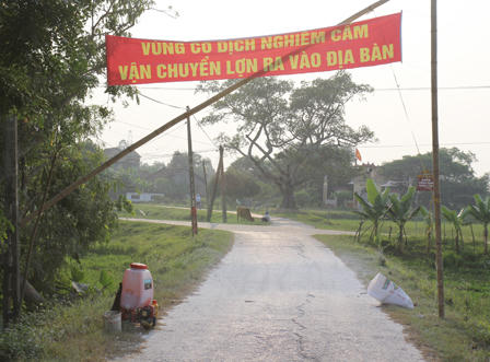 Nghệ An huỷ 10 tấn lợn thịt, công bố dịch heo tai xanh