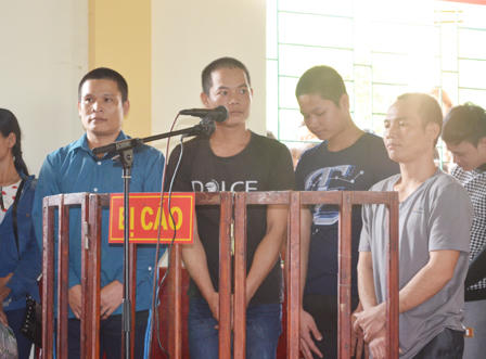 19 năm tù cho 4 kẻ phá rừng Sơ mu