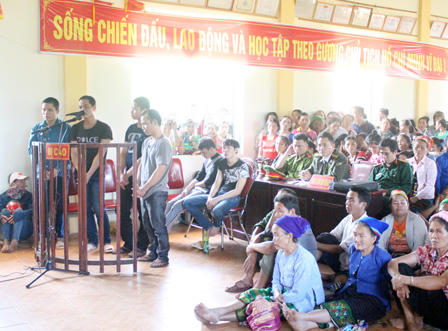 19 năm tù cho 4 kẻ phá rừng Sơ mu