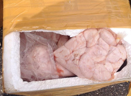 Bắt giữ xe tải chở 500kg nội tạng động vật bốc mùi hôi thối