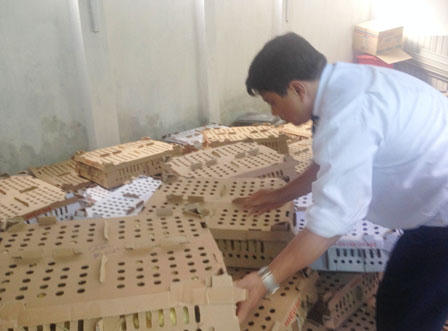 Nghệ An bắt xe chở 10 tấn xương bốc mùi hôi thối