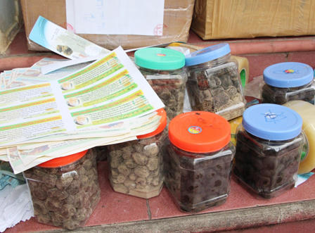 Nghệ An: Triệt phá thành công cơ sở bán thuốc tăng cân tự "chế"