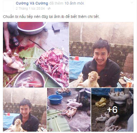 Vụ giết khỉ: Manh mối đường dây mua bán động vật hoang dã?