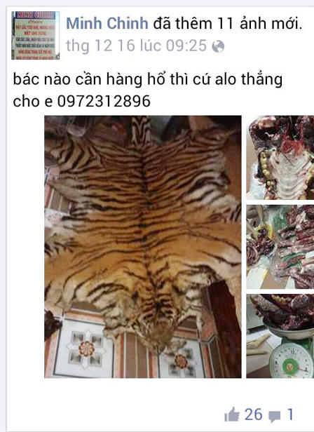Lại xuất hiện thanh niên rao bán hổ, gấu trên facebook