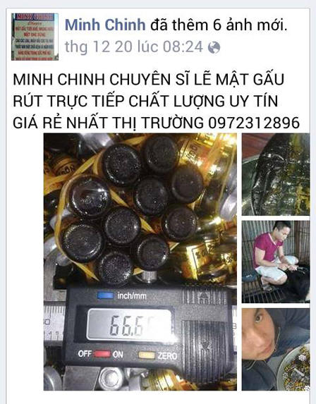 Lại xuất hiện thanh niên rao bán hổ, gấu trên facebook