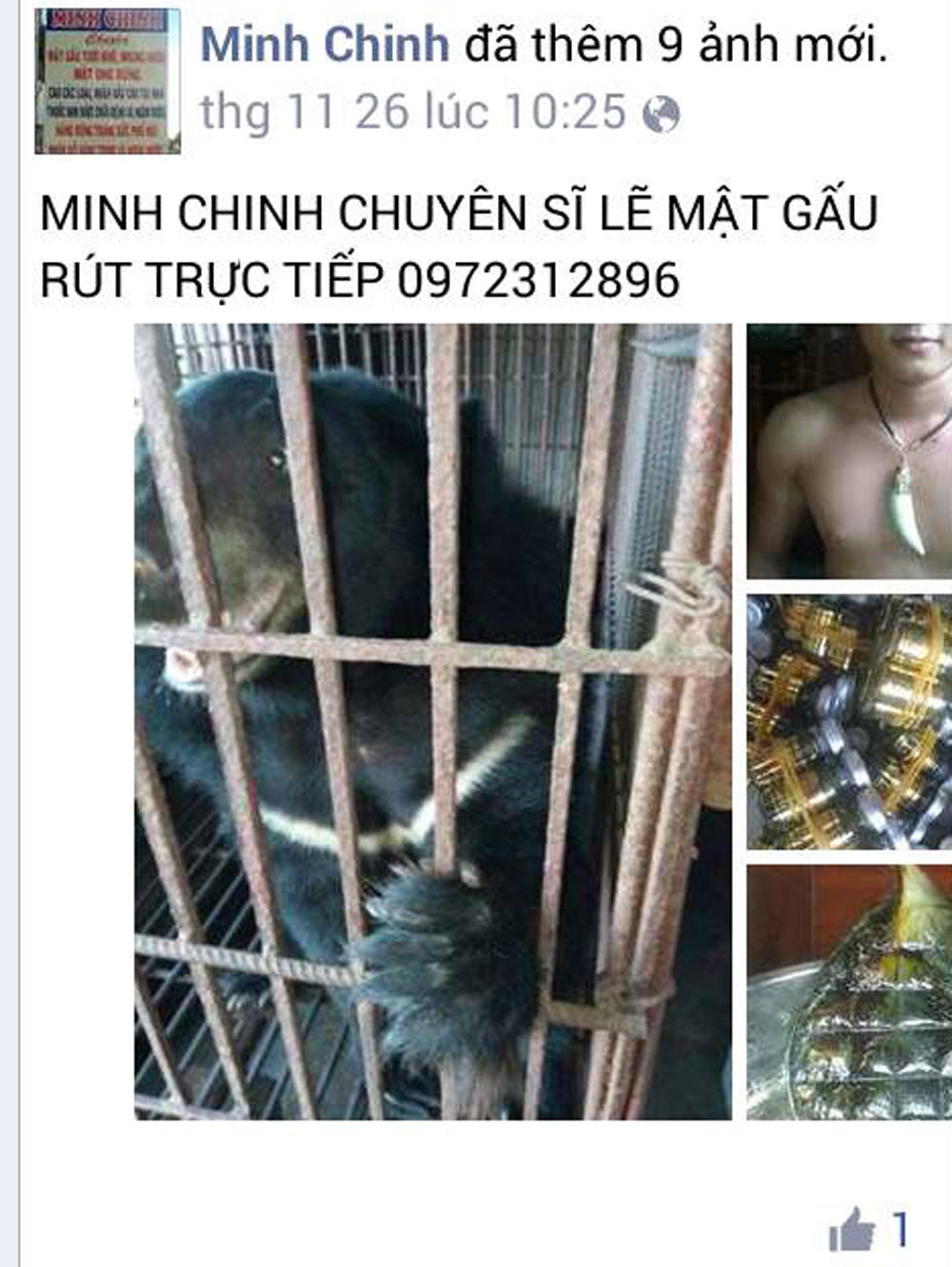 Kiểm tra nhà riêng đối tượng rao bán hổ, gấu trên facebook