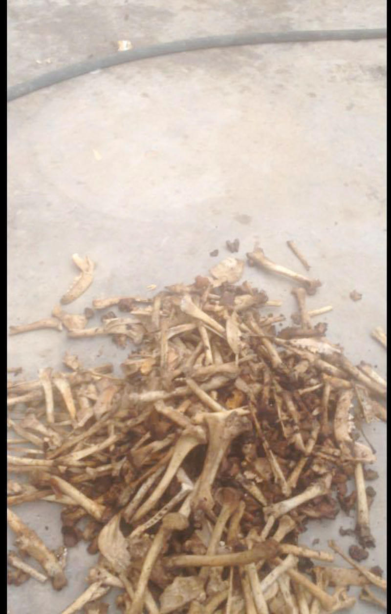 Kiểm tra nhà riêng đối tượng rao bán hổ, gấu trên facebook