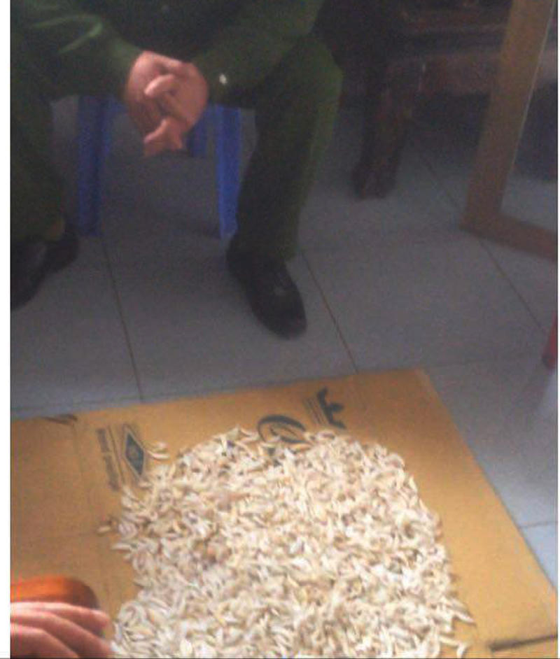 Kiểm tra nhà riêng đối tượng rao bán hổ, gấu trên facebook