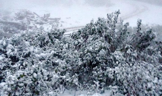 Lần đầu tiên trong lịch sử, băng tuyết xuất hiện miền Tây Nghệ An