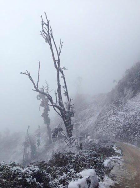 Lần đầu tiên trong lịch sử, băng tuyết xuất hiện miền Tây Nghệ An