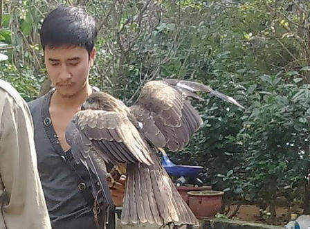 Phạt 5 triệu đồng trai làng “khoe chiến tích” giết khỉ