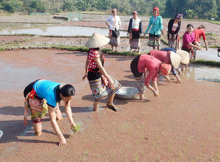 Tưng bừng Lễ hội Lồng Tồng đầu xuân