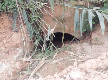 Thuỷ điện gần ngàn tỷ xây không phép rầm rộ xây dựng giữa đại ngàn