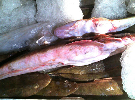 Phát hiện 12 tấn cá, mực hôi thối từ miền Trung ra Bắc