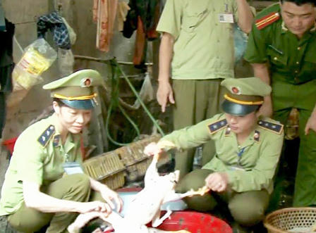 Phát hiện cơ sở dùng chất “lạ” làm sạch lông gia cầm