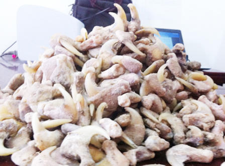 Bắt đối tượng buôn bán gần 700 móng nghi móng vuốt hổ 