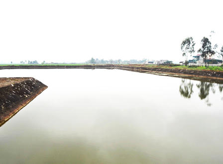 Quê nghèo nhức nhối tiếng khóc tiễn trẻ đầu xanh