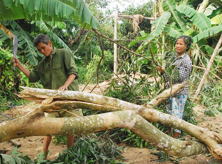 Lốc xoáy và mưa giông giữa trưa làm 6 người bị thương, 111 nhà tốc mái