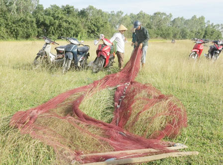 Độc đáo Lễ hội đánh cá Đồng Hoa