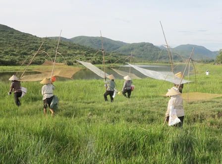 Độc đáo Lễ hội đánh cá Đồng Hoa