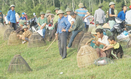 Độc đáo Lễ hội đánh cá Đồng Hoa