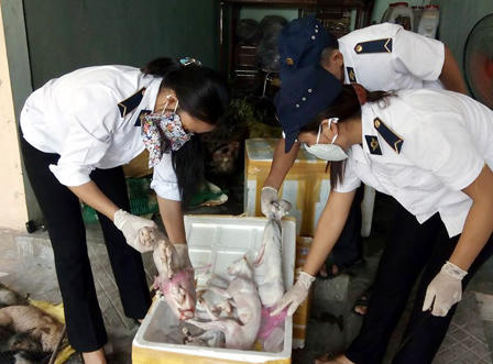 Phát hiện hơn nửa tấn “tiểu hổ” trên xe khách