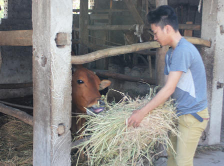 Cậu học trò mồ côi bố thực hiện giấc mơ vào Học viện Hậu Cần