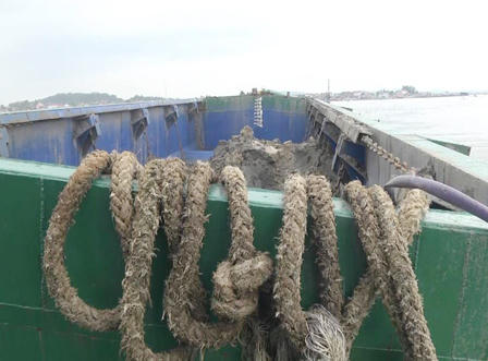 Đang kiểm định mẫu chất thải đổ tại cảng Nghi Sơn