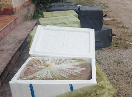 Phát hiện hơn 1 tấn nhộng tằm trên xe khách 