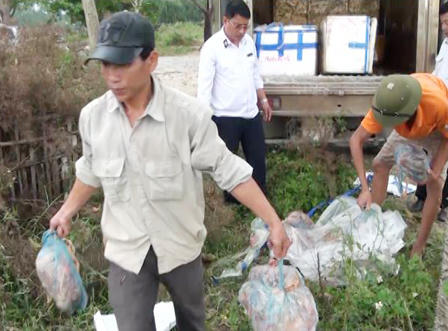 Tiêu hủy 2 tấn nội tạng động vật hôi thối chuẩn bị bán cho công nhân