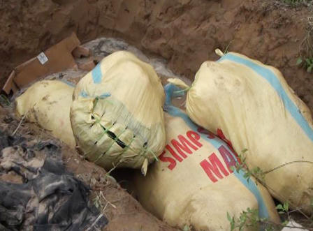 Tiêu hủy 2 tấn nội tạng động vật hôi thối chuẩn bị bán cho công nhân