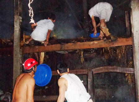 Chủ nhà hoảng loạn nhập viện sau khi cứu đàn trâu