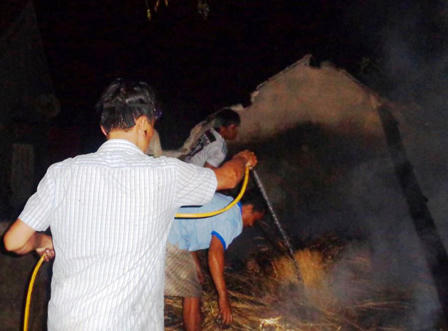 Chủ nhà hoảng loạn nhập viện sau khi cứu đàn trâu